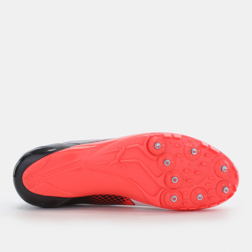 puma evospeed disc spikes