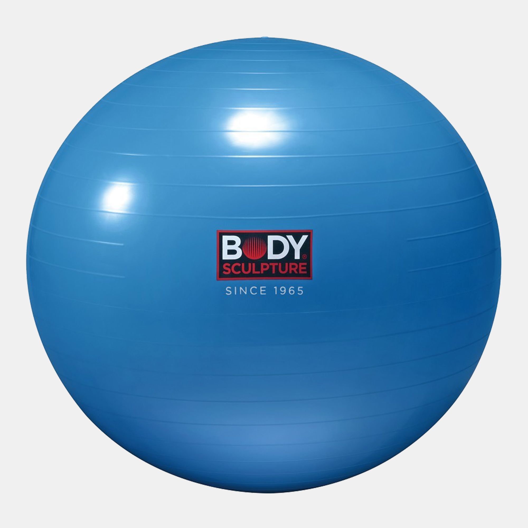 26 inch exercise ball