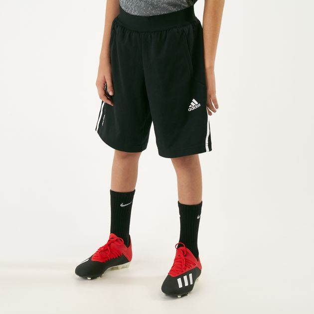short adidas predator