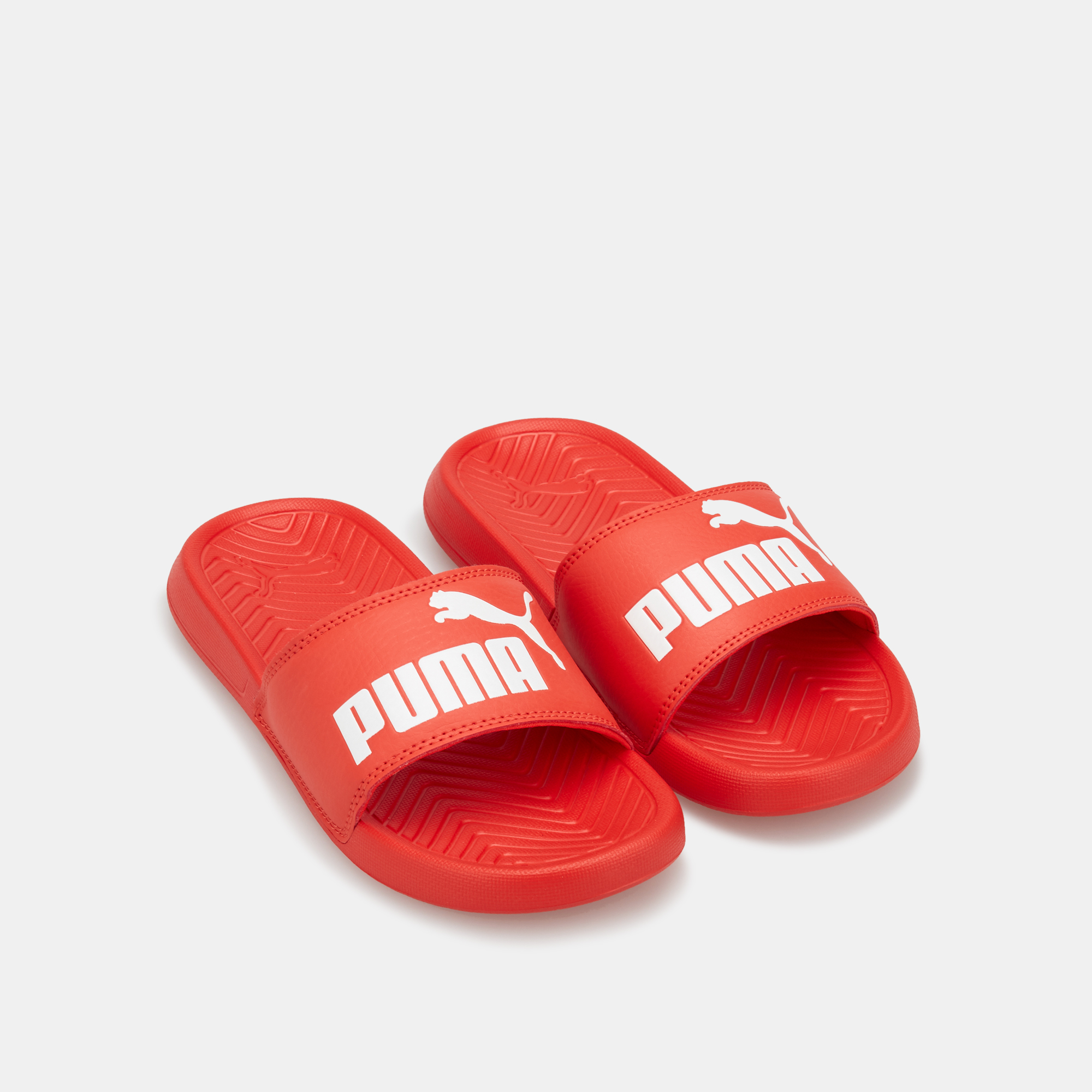 baby puma slides