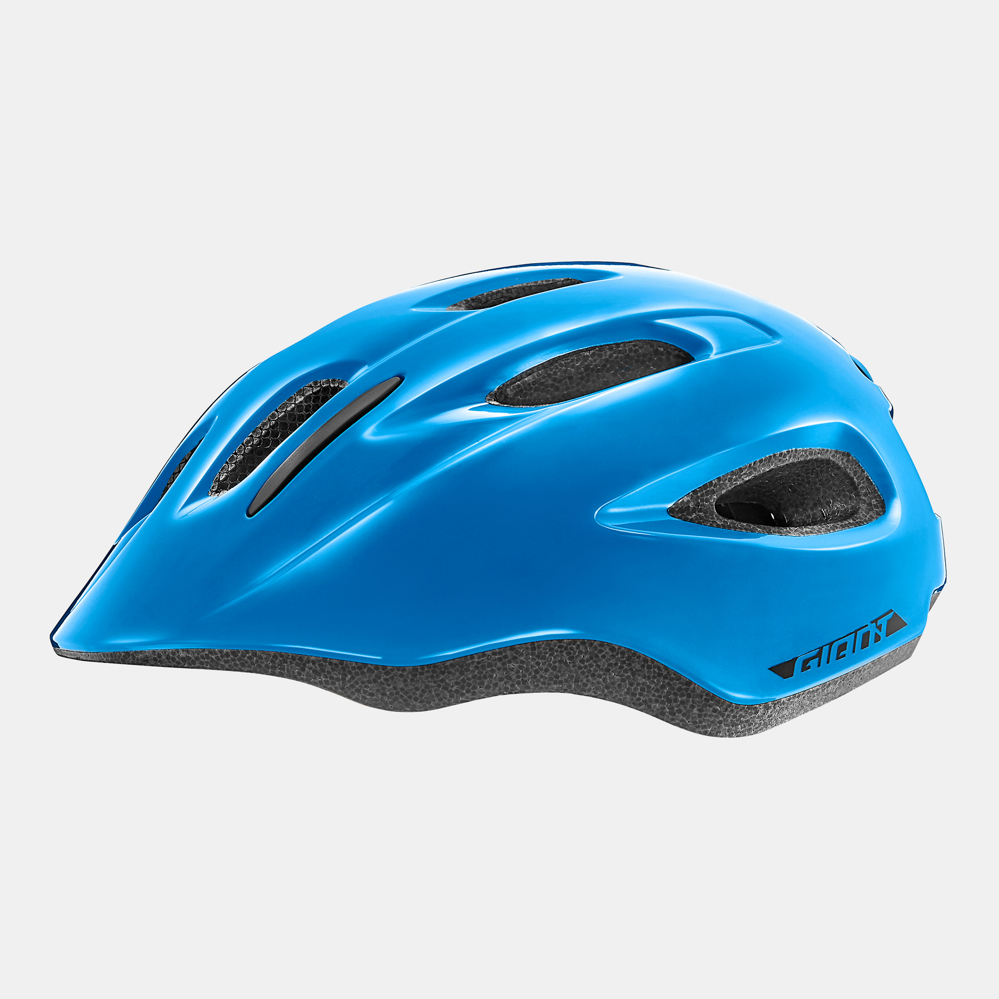 bicycle helmet